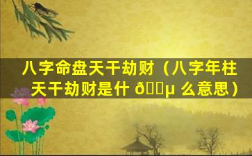 八字命盘天干劫财（八字年柱天干劫财是什 🐵 么意思）